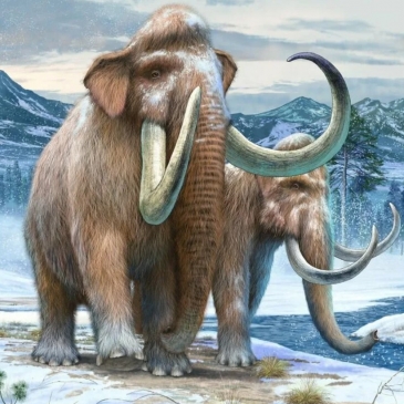 Тест о вымерших животных и местах их обитания Тест о вымерших животных и местах их обитания