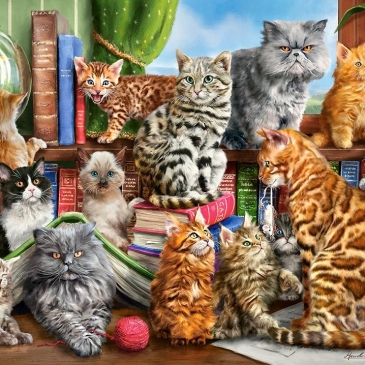 Давай узнаем, насколько ты хорошо знаешь кошек?