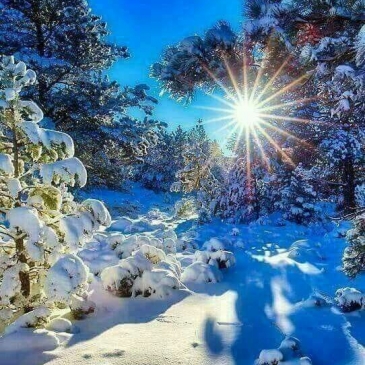 Новогодние фильмы, сказки и мультфильмы. Давайте ностальгировать!