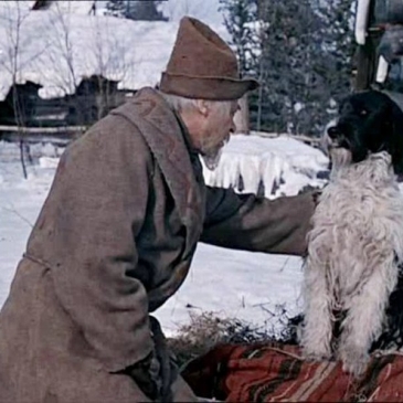 Животные в старых сказках