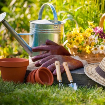 Угадай название садовых инструментов по фото Угадай название садовых инструментов по фото