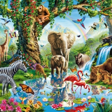 Знание животного мира Знание животного мира