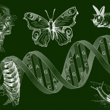Тест на знание по школьному предмету биологии