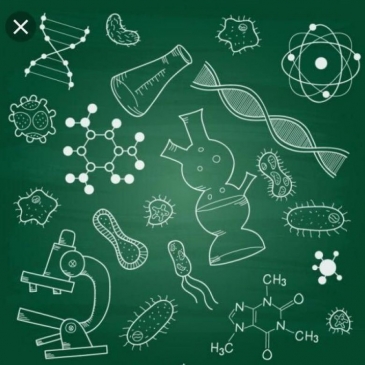 Проверь свои знание в онлайн-тесте на знание биологии