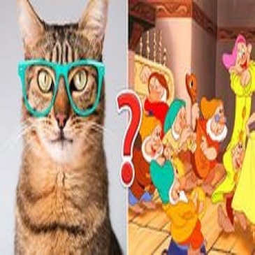 Тест, который проверит вашу эрудицию: где вы на шкале от 0 до 12?