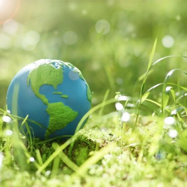 Тест по экологии. 2 вариант