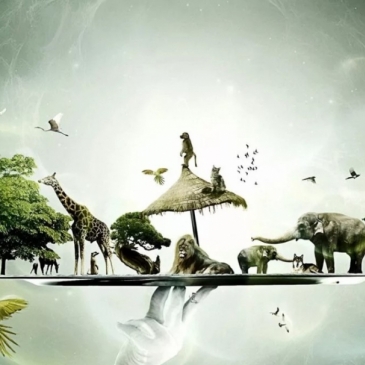 Тест по биологии Эволюция и экология