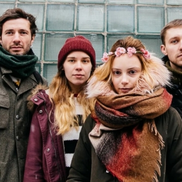 Деревянные киты. Угадай песню по музыкальному отрывку