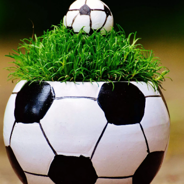 Тест: Угадайте футбольный девиз