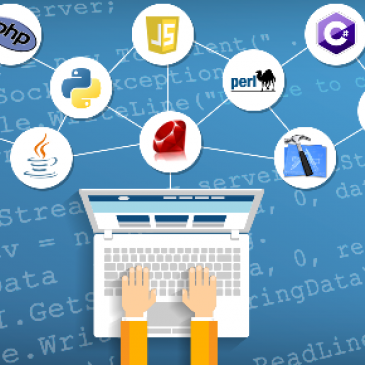 Быть ли тебе программистом?