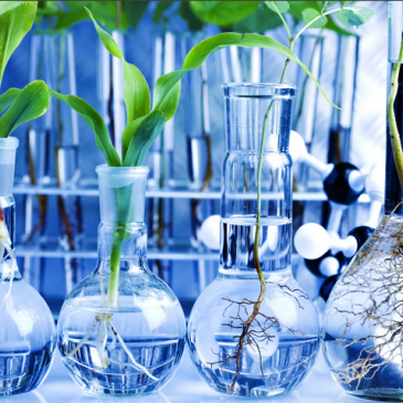 Тест по биологии. Школьный курс Тест по биологии. Школьный курс