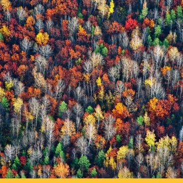 Разнообразные вопросы на разные тематики