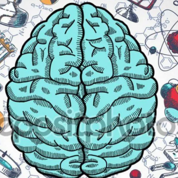 Сколько баллов Вы сможете набрать в тесте на кругозор из 15 вопросов? Сколько баллов Вы сможете набрать в тесте на кругозор из 15 вопросов?