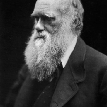 Тест по теории Дарвина