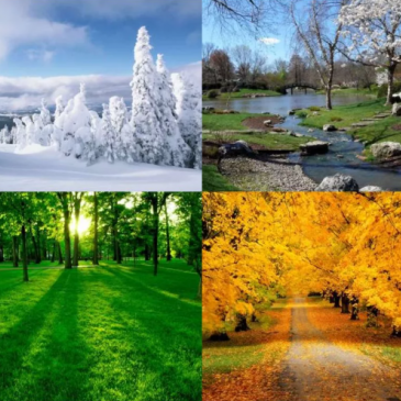 Викторина для детей. Времена года Викторина для детей. Времена года