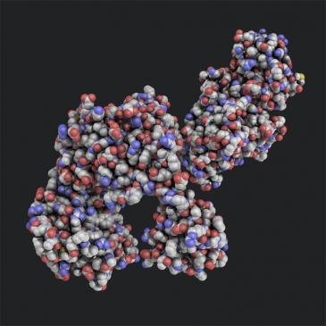 Тест: На знание Белков Тест: На знание Белков