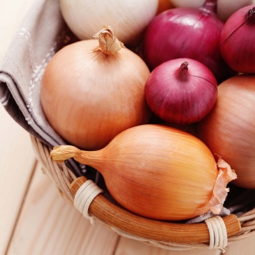 Сможете угадать вид лука?