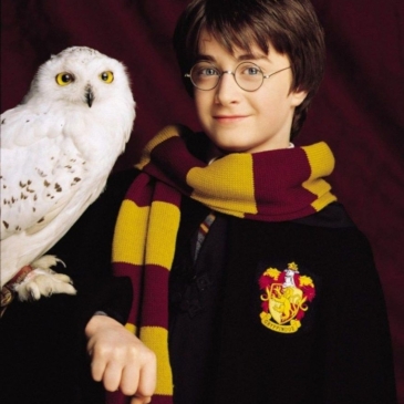 Сможешь назвать всех этих студентов Хогвартс? 