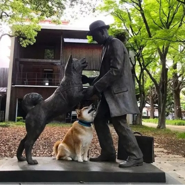 Тест: Породы собак
