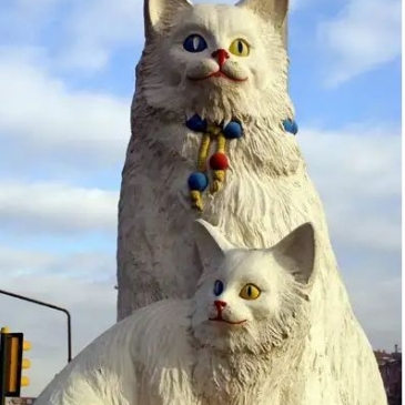 Тест: Породы кошек и котов