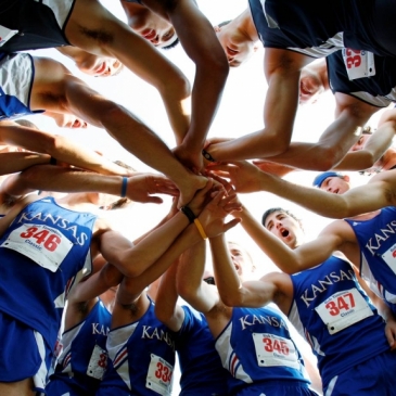 Угадай командные виды спорта 