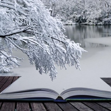 Зимние стихи. Тест для любителей поэзии.