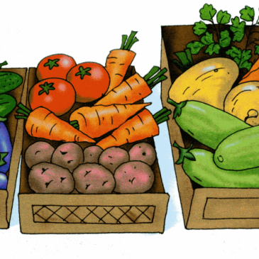 Сад и огород, отгадай овощ или фрукт по картинке Сад и огород, отгадай овощ или фрукт по картинке