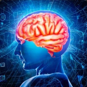 Прокачай свой IQ в сфере воздушных стихий, зрения и растений