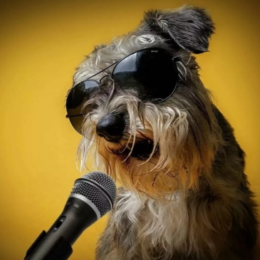 Угадай животное по звуку Угадай животное по звуку