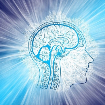 Вы всесторонне развитый человек? Ответите на все 12 вопросов и узнайте Вы всесторонне развитый человек? Ответите на все 12 вопросов и узнайте