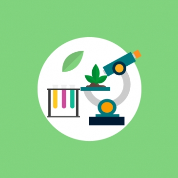 Тест на знание по школьному предмету биологии - Часть 2