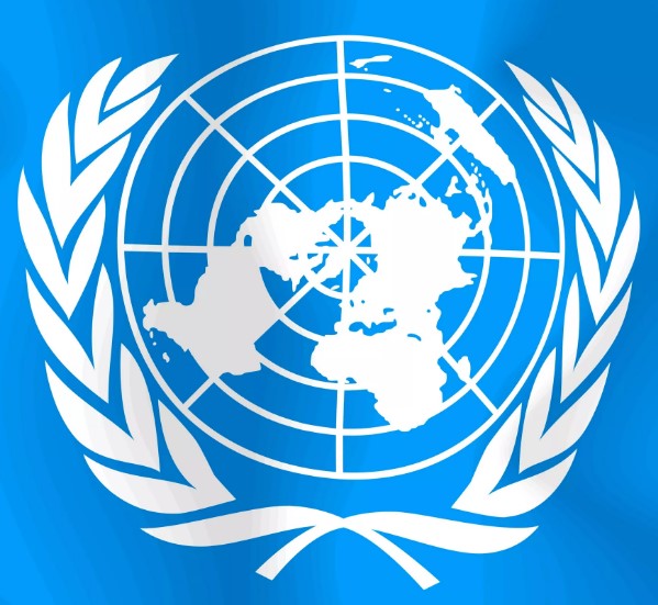 Тесто оон. ООН интернет. ООН по промышленному развитию герб. ООН это тест. ООН красного цвета.