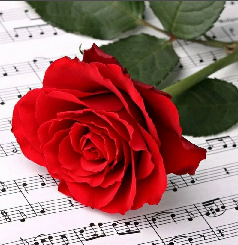 Цветы для музыканта. Музыкальный цветок. Розы и Ноты. Музыкальный букет цветов. Самая нежная мелодия
