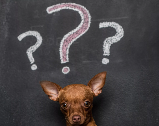 Тест. Художественные направления