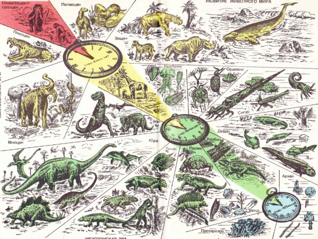 Тест на тему Эволюция органического мира