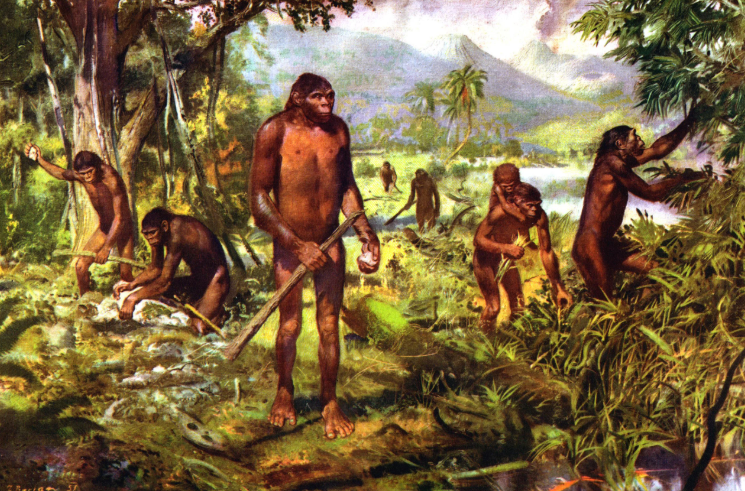 Тест по теме Начало истории человечества