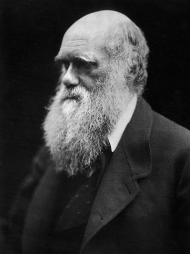 Тест по теории Дарвина