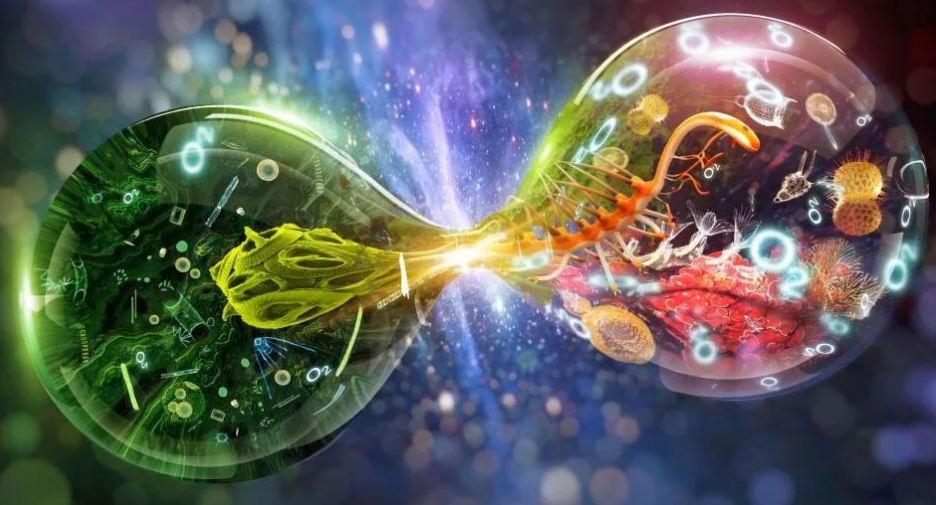 Тест на школьные знания по биологии