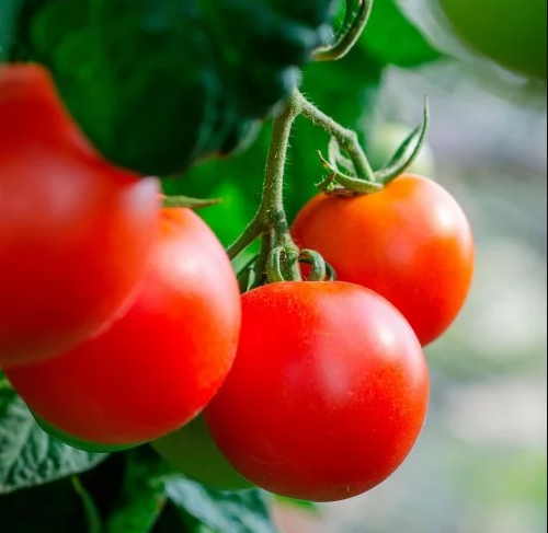 Тест об осенних дарах. Овощи и фрукты