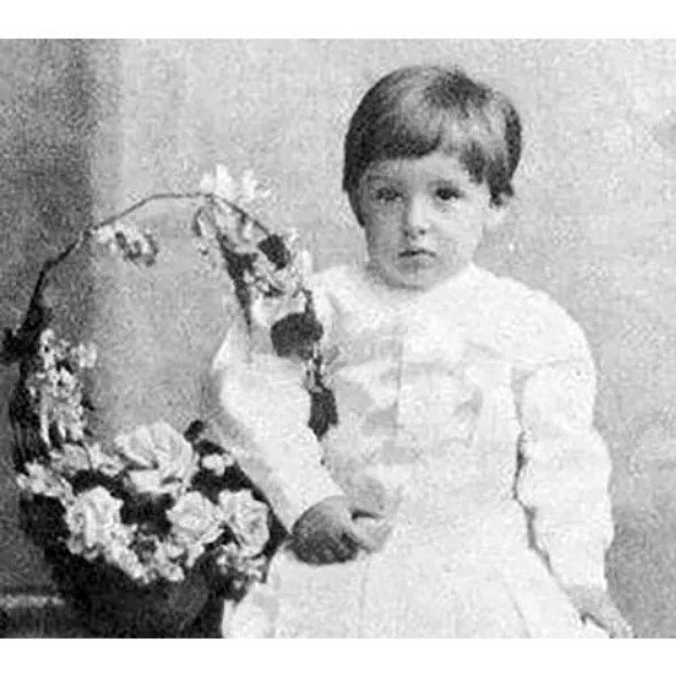 Этот писатель родился в Воронеже в семье небогатого помещика. Раннее детство он провел в родовом поместье на хуторе Бутырки Елецкого уезда.