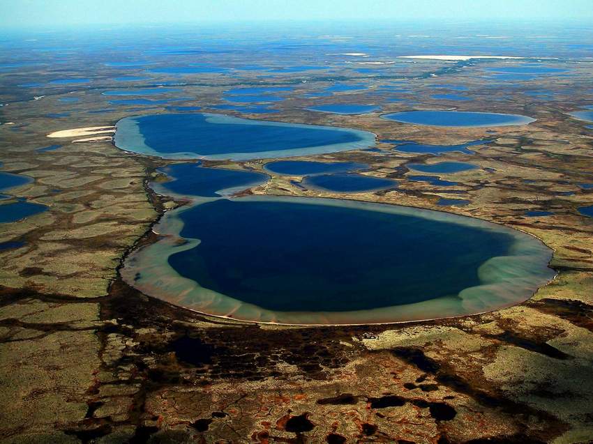 Каких природных водоемов больше всего в тундре: