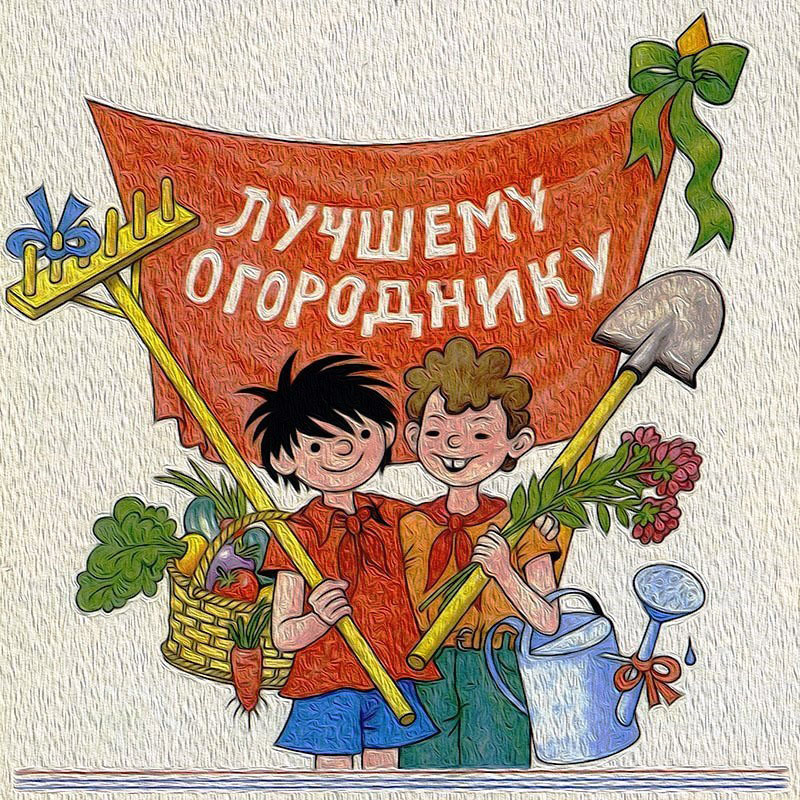 Где происходят события в рассказе «Огородники»?