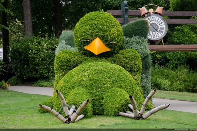 Чем, кроме цветов, предложил украсить участок ландшафтный дизайнер?