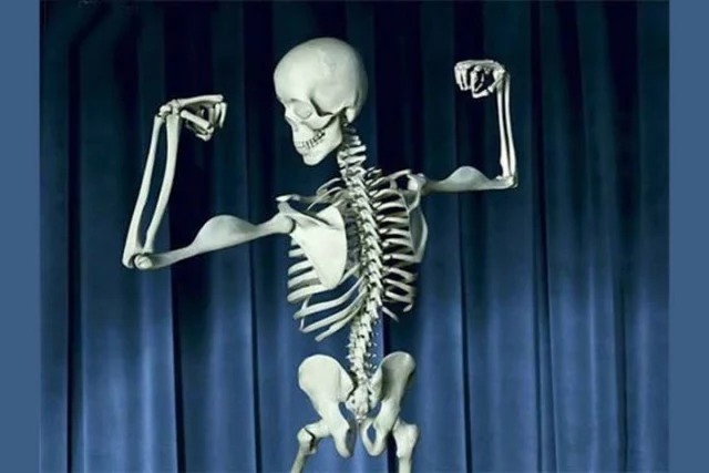 Самая длинная кость в теле человека