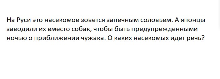 Ответьте на вопрос