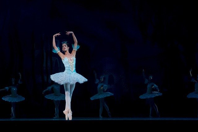 Назовите самый известный балет П.И. Чайковского, посвященный птицам?