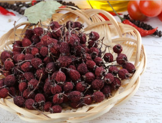 Выберите из списка растение, у которого лист с одной стороны гладкий, а с другой – шершавый.