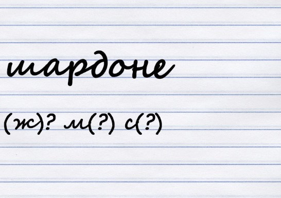 Какого рода существительное?