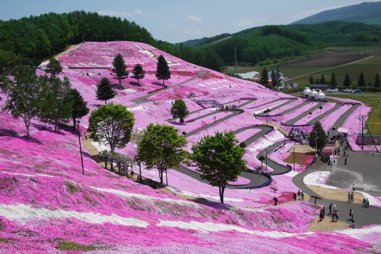  От какого японского острова российский остров Сахалин отделён проливом Лаперуза?