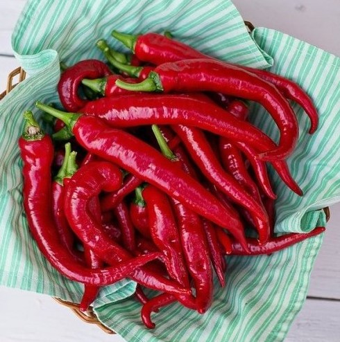 Какой сорт перца считается самым жгучим (по мнению книги рекордов Гиннесса 2013 года)?